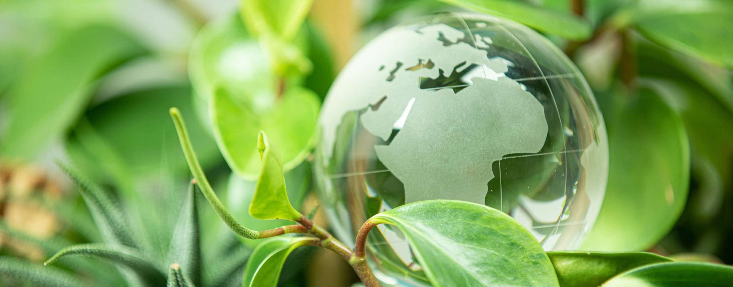 Soziale Verantwortung: Grüne Welt mit Glaskugel